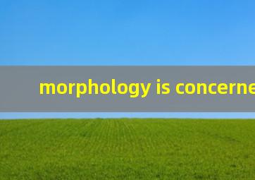 morphology is concerned with